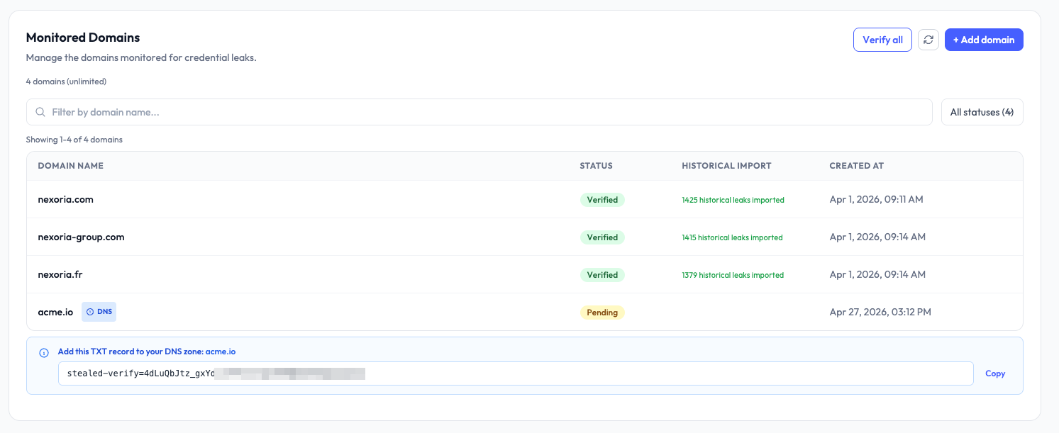 Domain verification panel showing the TXT record name and value to copy